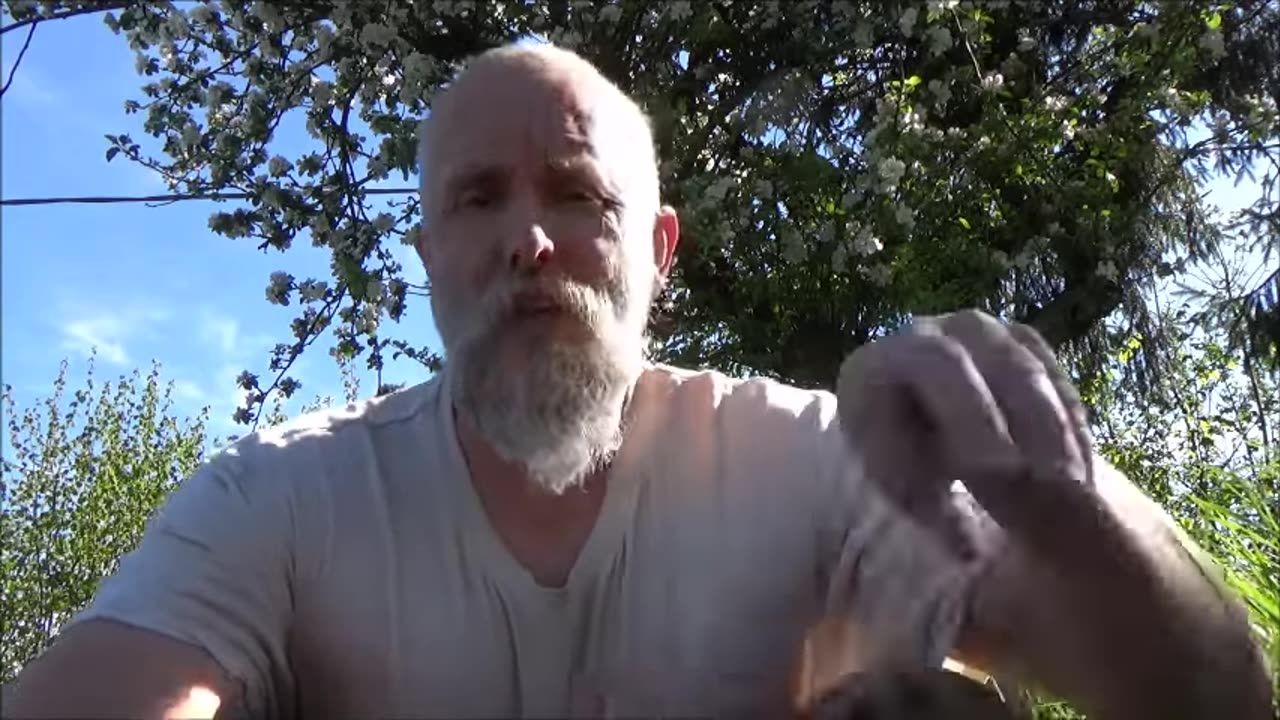 Thulean Perspective - We ARE Óðinn!