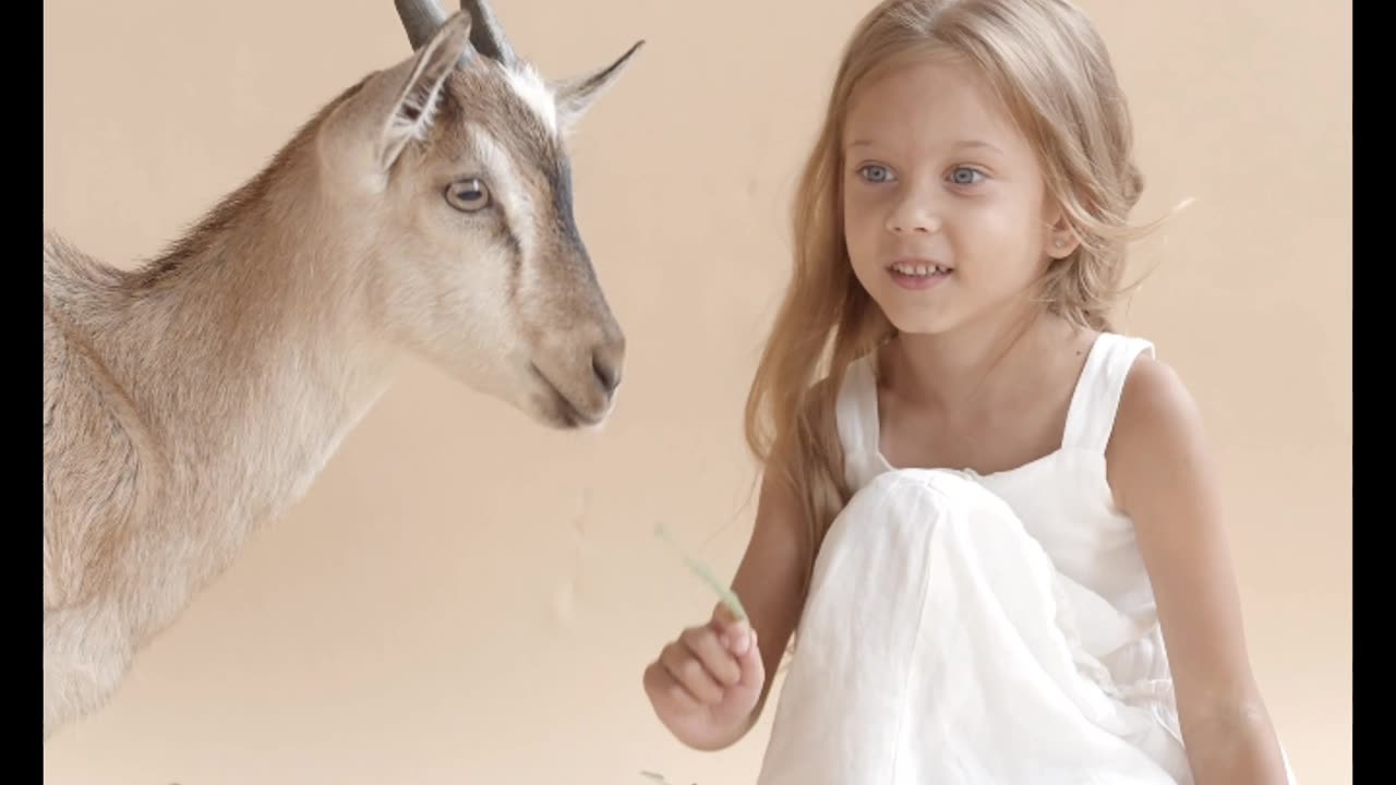 A generous girl is feeding a goat.