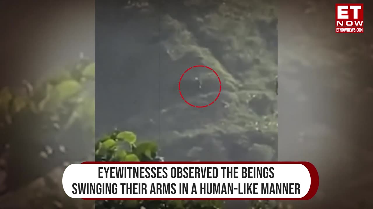 Viralvideo | 'Alien' spotted in Brazil? What we Know About THe Incident|