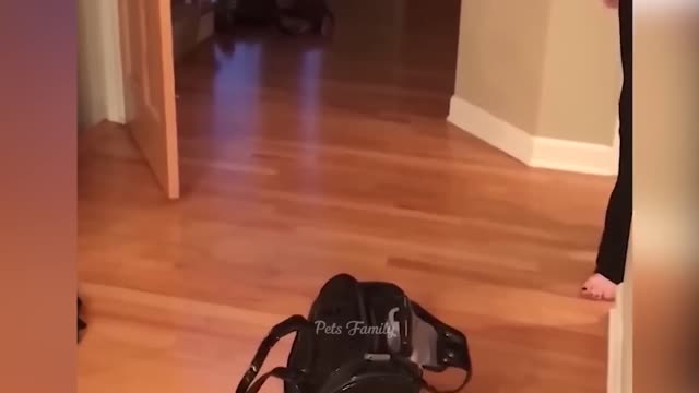 I'm here Jorge