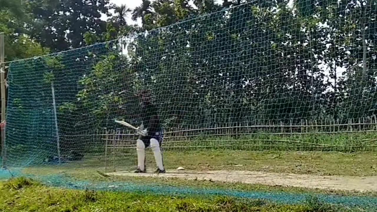 Best cricket shots