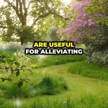 Does Sorcery mean Pharmaceutical in the Bible? - Bible Questions 27