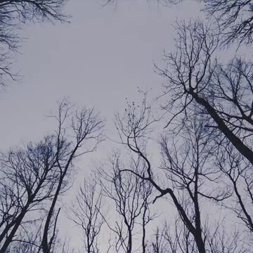 My old pictures, memories ;-)