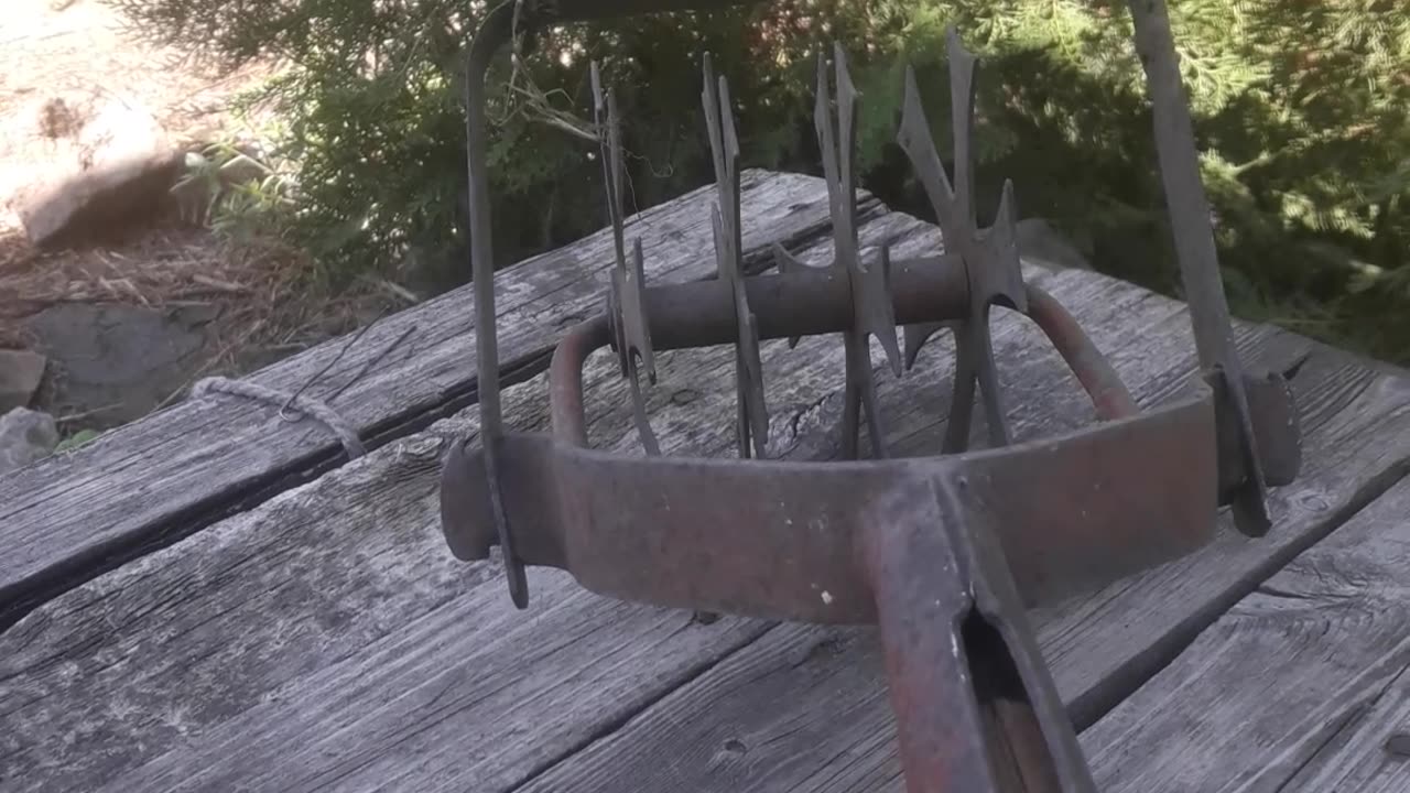 Strange garden tool