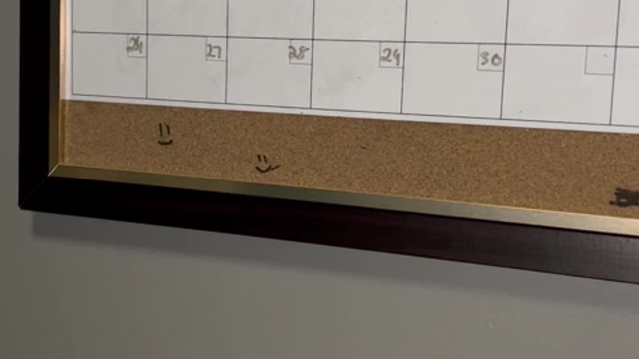 Amazon Basics Monthly Calendar Whiteboard Dry Erase