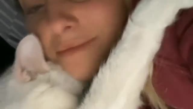 Cat Funny Videos...( cat cute reaction )