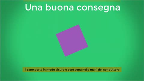 Come si consegna bene?