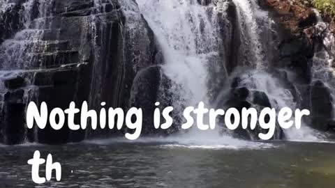 Meditation & Motivation
