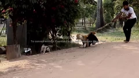 DOG PRANK BY FAKE ANIMAL SEE HIS REACTION