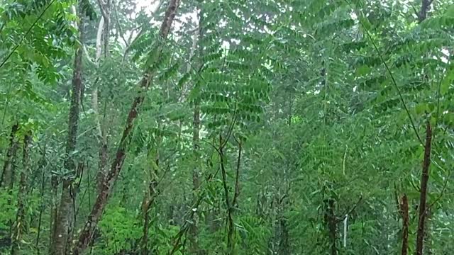 Rainy time in srilanka