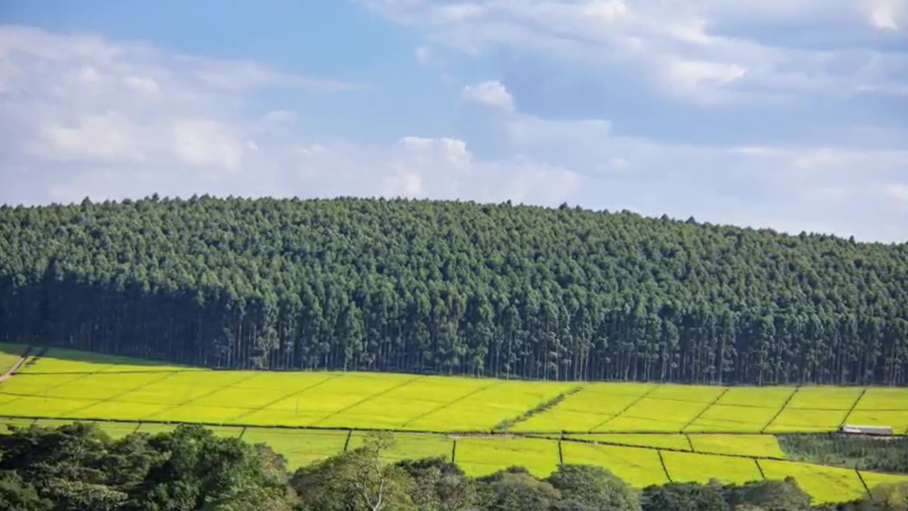 Transform Your Land Management with KLAIMS: Kenya's Revolutionary Land Asset System!