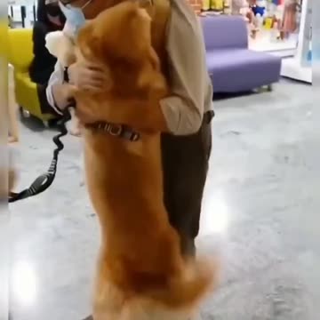 Today i meet my dad after a long time👀🙁🙁🙁🤫❤️❤️❤️❤️❤️❤️❤️❤️❤️❤️❤️❤️😍😍😍😍😘😘😘😘😘😘😘