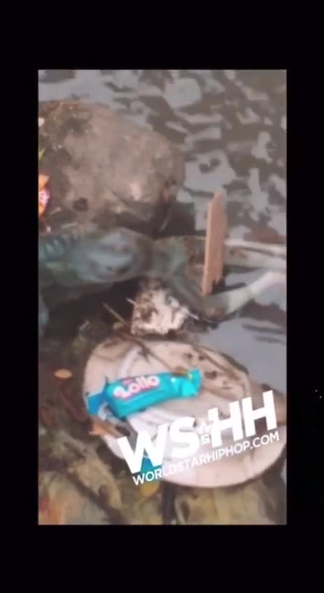 Weird creatures!!! Fucking weird man