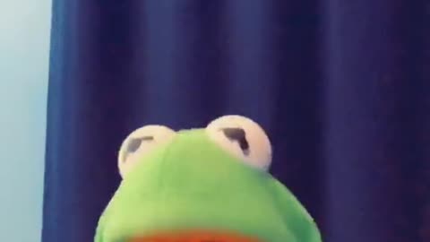 I have 3 Kermit puppets In total, little Kermit I got off eBay Year’s ago