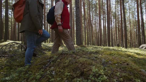 GAVIN NEWSOM PRAISES NIKKI HALEY