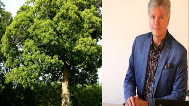 Rundumblick 30.09.2022