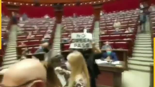 Chaos erupts in the Italian parliament