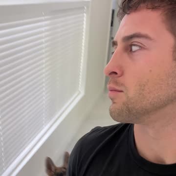 What its REALLY like owning a German Shepherd...