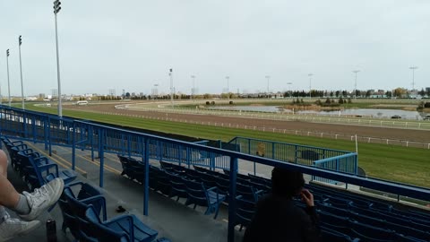 Day at woodbine