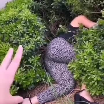 العريضة ناعسة في الطبيعة الحال سخن في الدار-