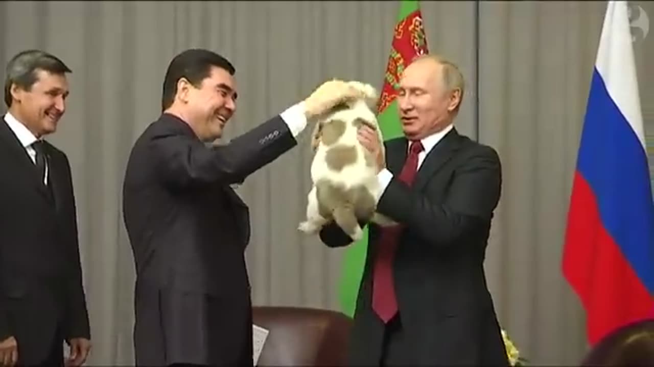 Putin's all smiles to get a puppy as birthday present