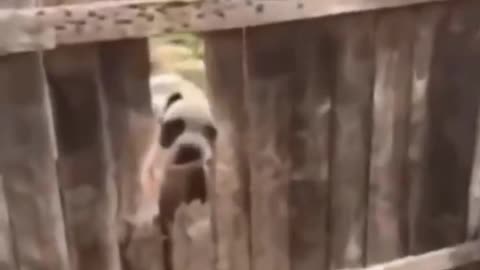 don't angry me ok most watch this
