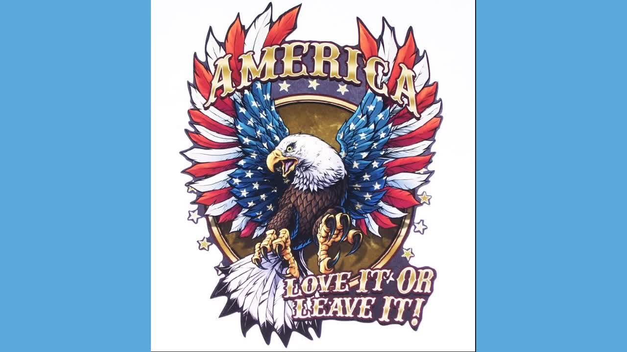 American Flag Eagles and Saying Decals and Graphics