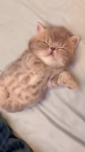 That’s adorable 😻😻😻