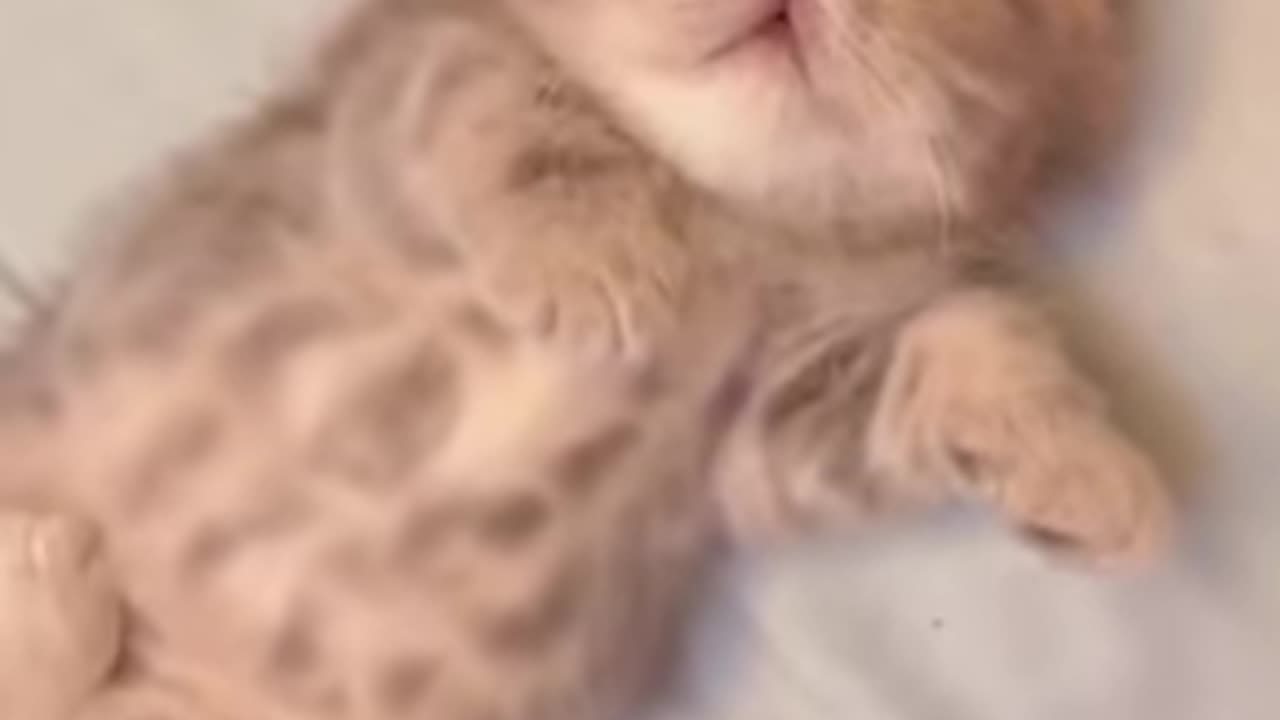 That’s adorable 😻😻😻