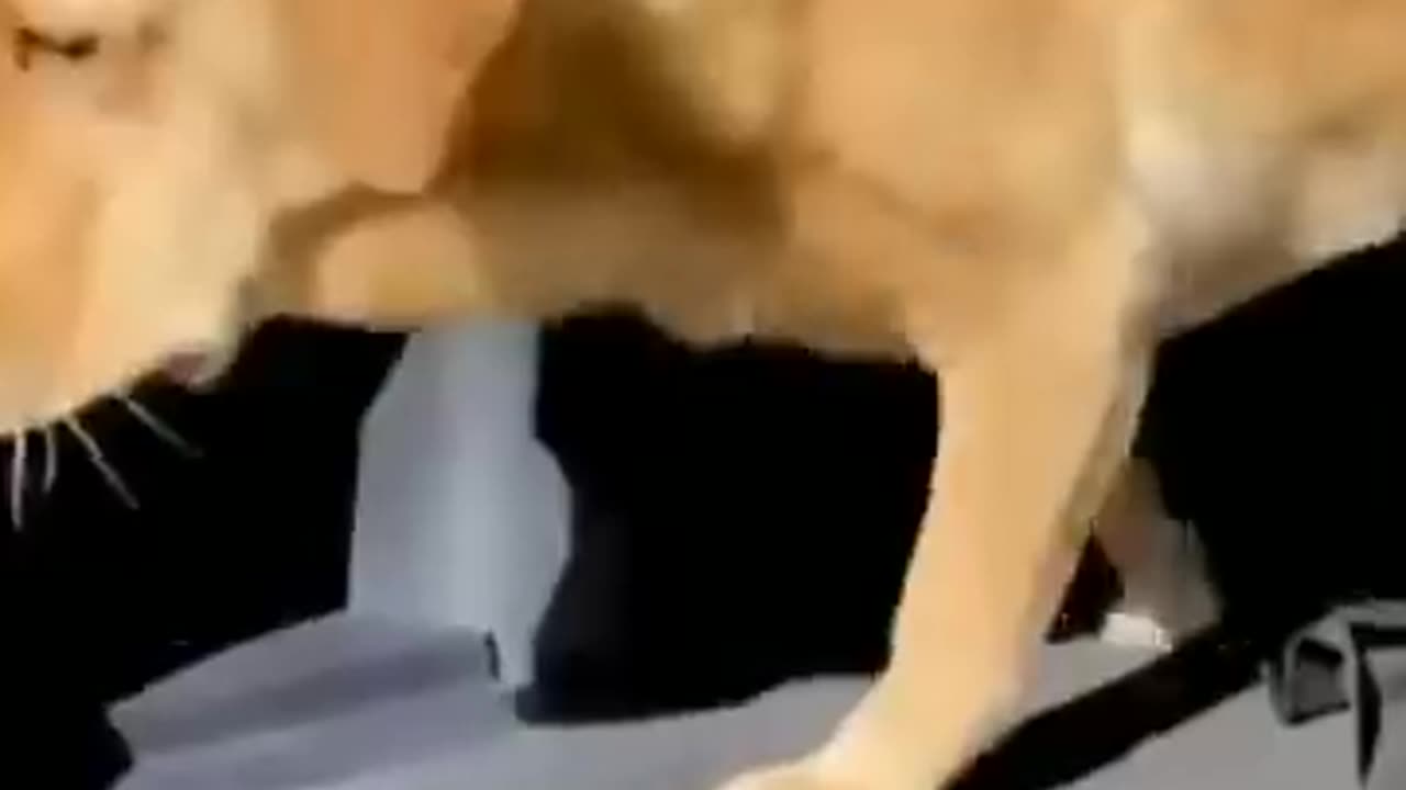 Funnnnnnnnnnnnny ππππππππ video