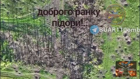 Amazing Drop Footage