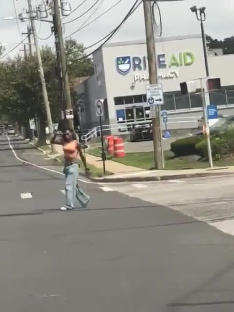 Police use Car to take down Woman with gun