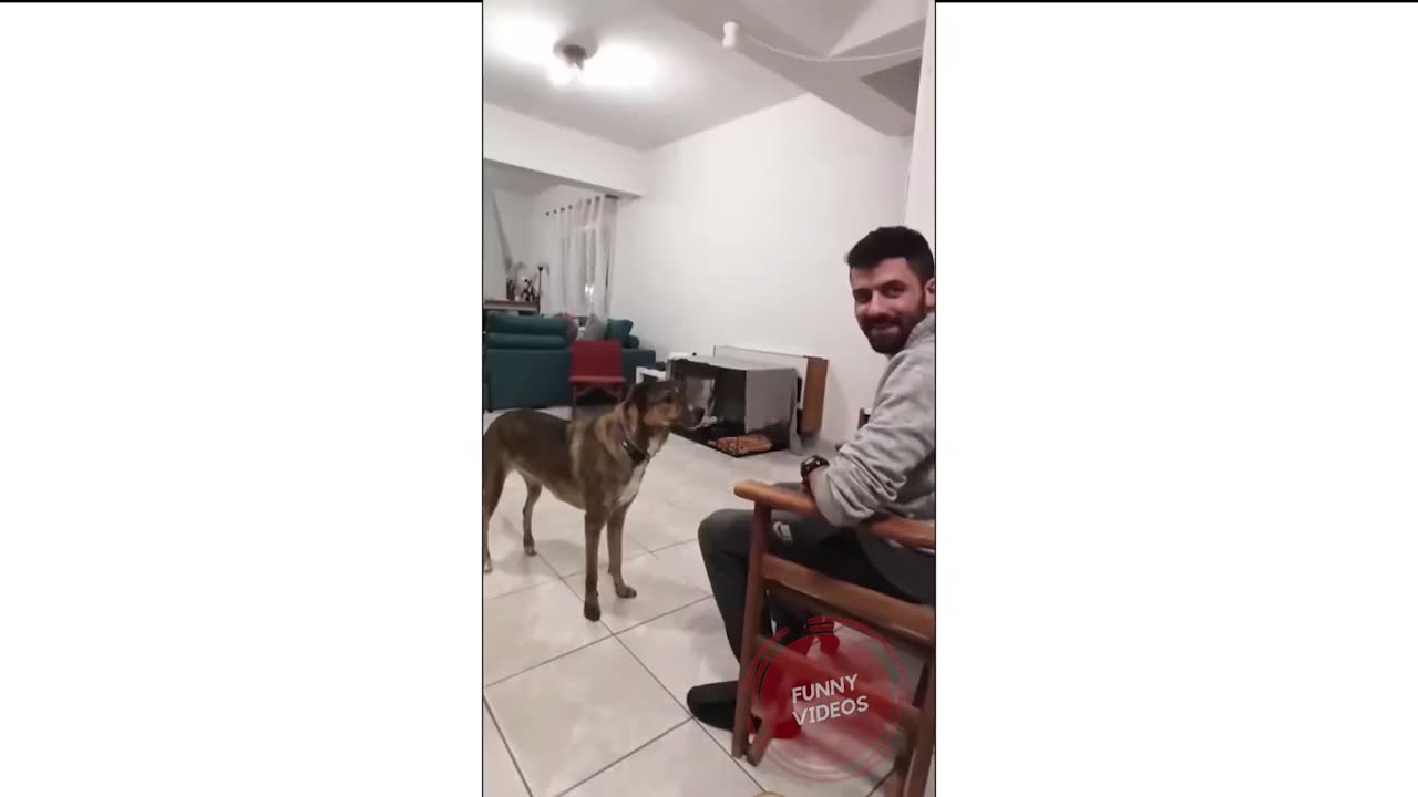 THIS HAVE TO BE THE CUTEST FUNNIEST ANIMAL VIDEO