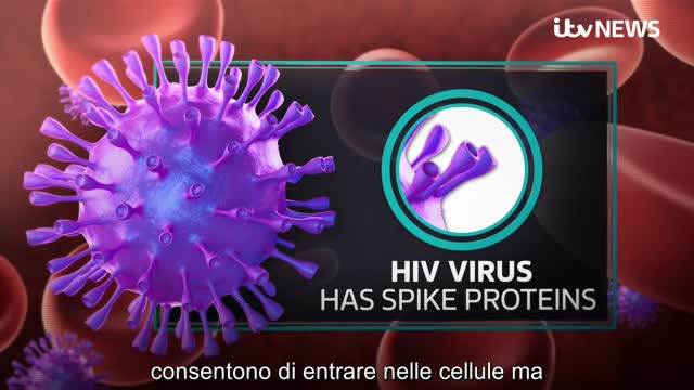 ALLARME! Il vaccino HIV chip/mRna veicolato dal raffreddore è pronto e in sperimentazione.