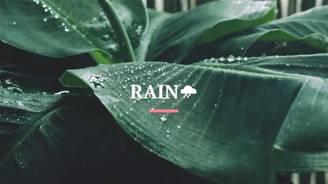 1 Hour Loop - The Cool Relaxing Sound of Rain Drops