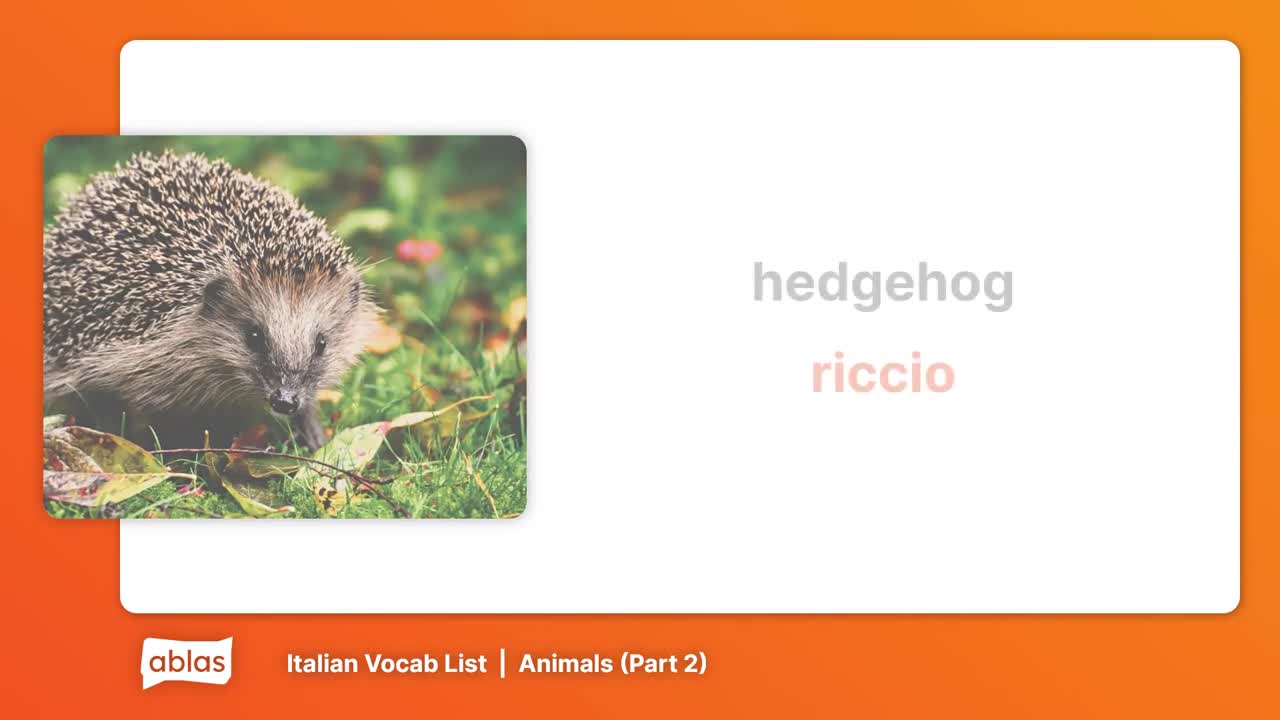 Animals | Italian Vocabulary List (Part 2)