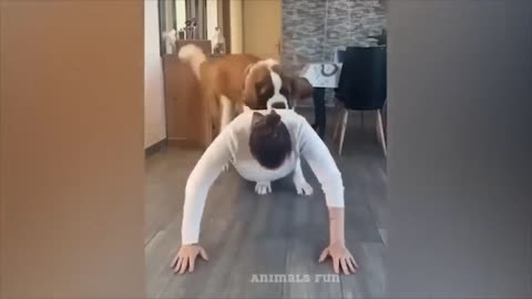 1 hours funny video