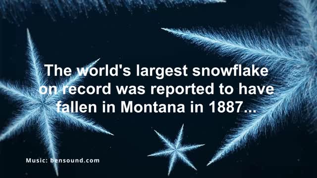 Largest Snowflake Ever...