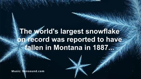 Largest Snowflake Ever...