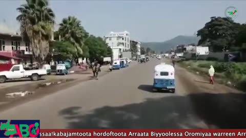 Oduu Waaree ONM-ABO Sadaasa 14-2024 itti dhiyaadhaa!