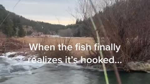 When the fish finally realizes it's hooked..