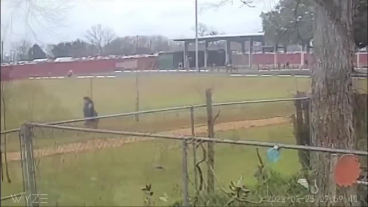 Woman Screams In Horror As She Flees Car Chasing Her At Texas Park