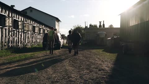 Women with a horse at sunset