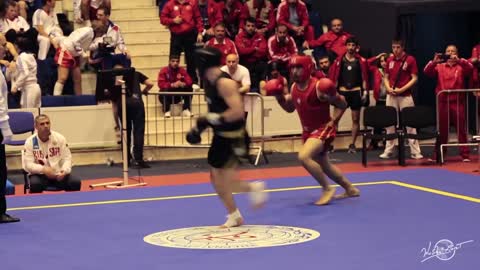 The best of Sanda Sanshou 2013-2014