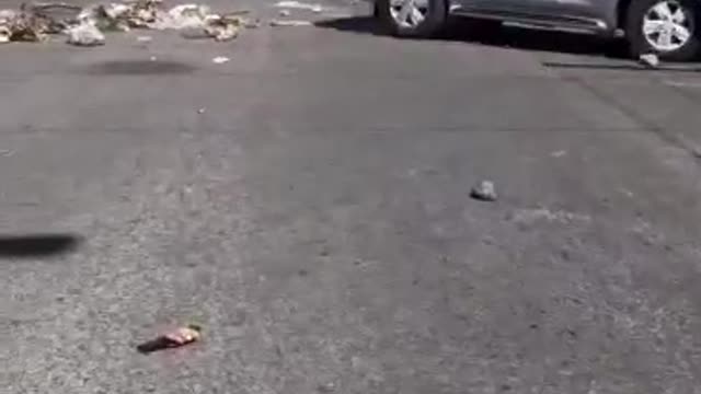 Cars running road blocks in Port au Prince