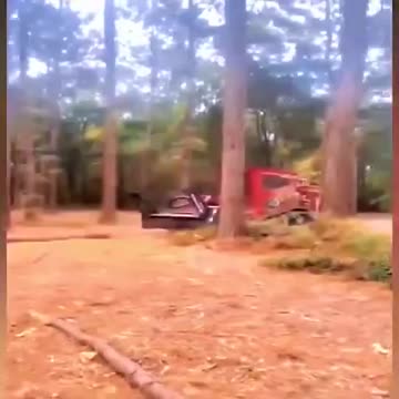 Amazing fast stomp remover