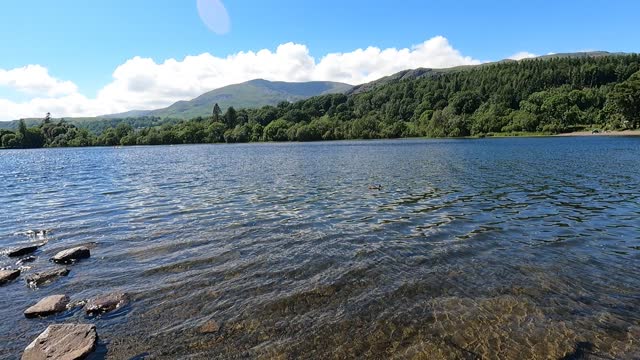 Ducks at lake Coniston. Lake district. GoPro.