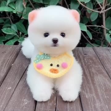 Like me give me a “LIKE”💋💋