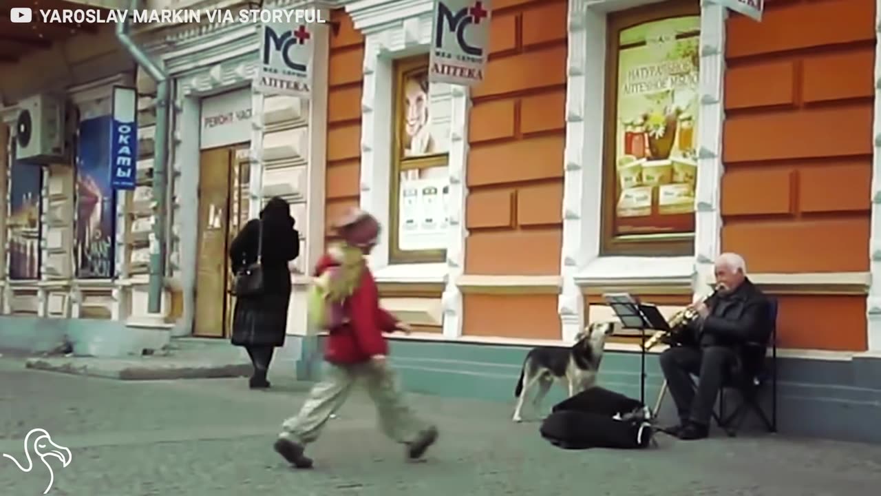 Talented Dog Sings Along With Street Performer