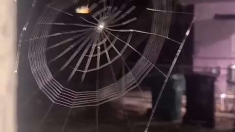 Look what this person managed to film.. kkkkk beautiful work.